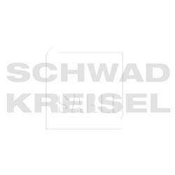 Abziehbild "Schwadkreisel", 494.124