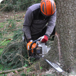 12 Waldarbeit und Umwelttechnik (142)