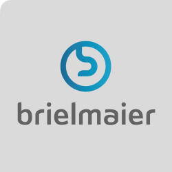 Brielmaier Motormäher (66)